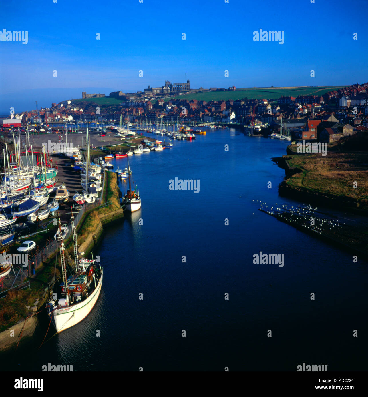 Whitby harbour north Yorkshire England Stock Photo - Alamy