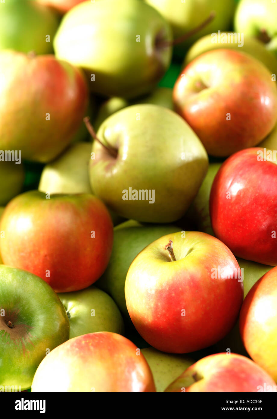 Full bleed shot of group of apples red and green portrait Stock Photo