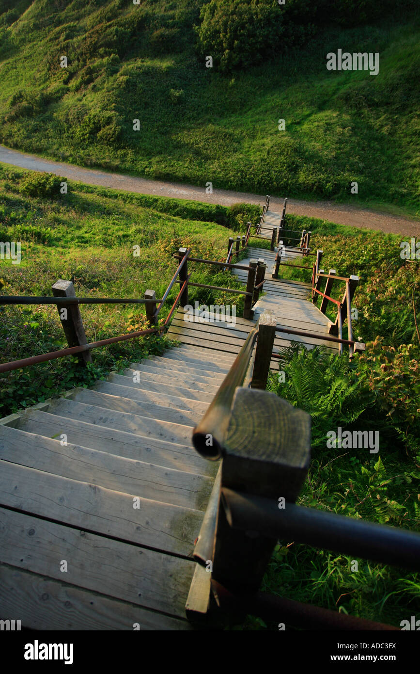 Steep steps carved into rockface, Bonchurch, Isle of Wight, UK Stock Photo  - Alamy