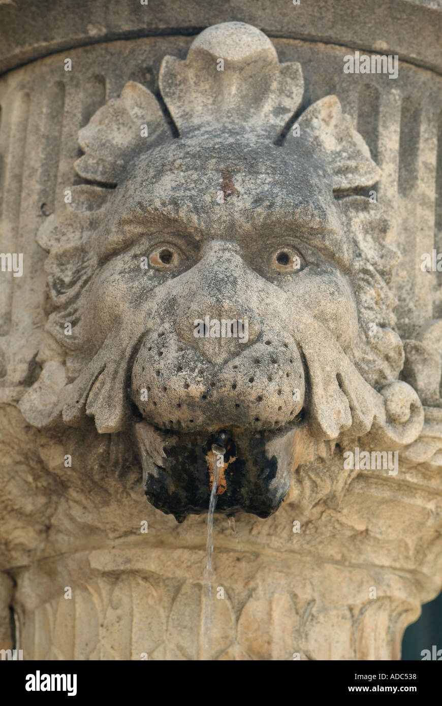 Lions Head Carving on a Fountain in Gundulic Square Old City of Dubrovnik Croatia Stock Photo
