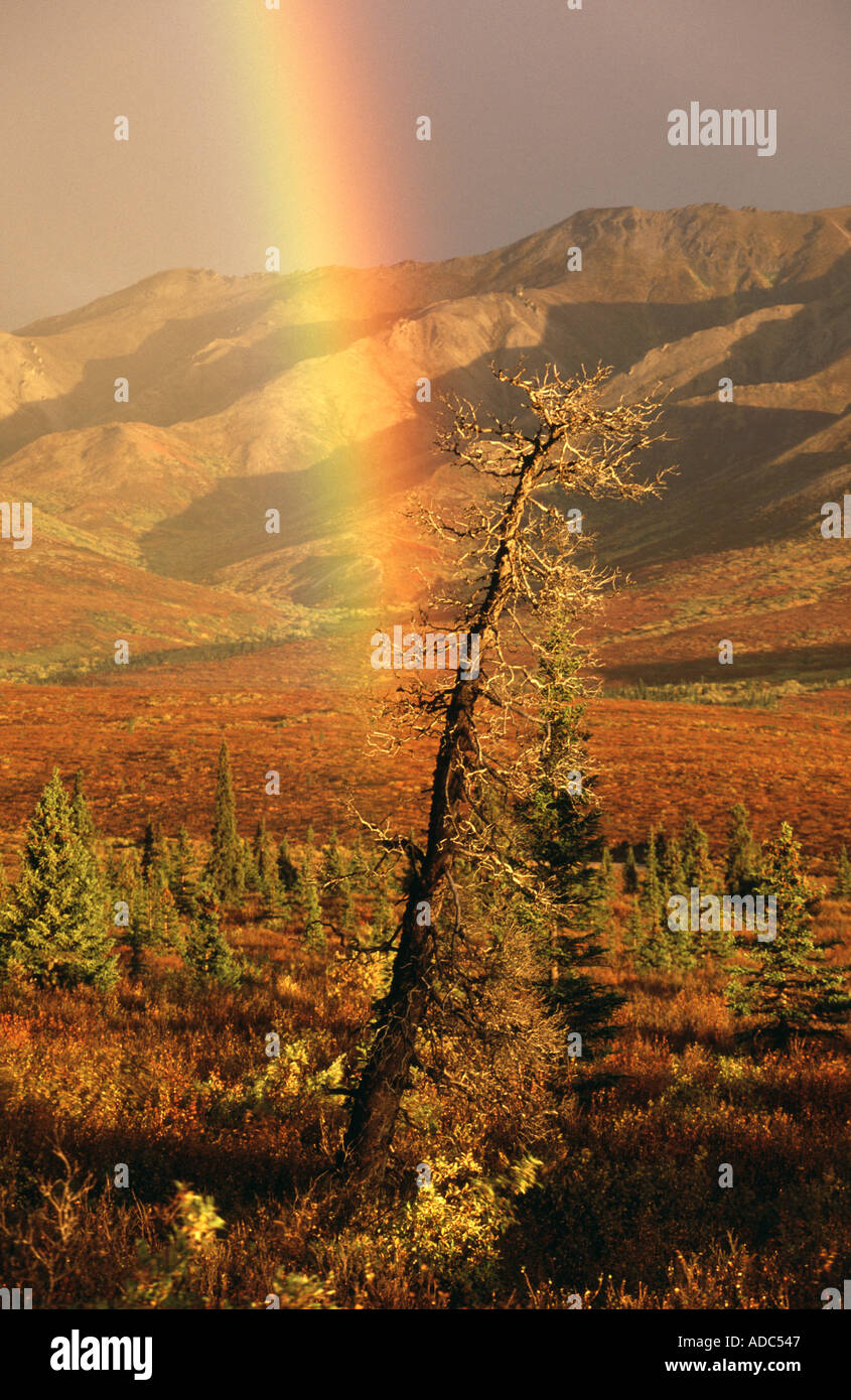 Rainbow peak alaska hi-res stock photography and images - Alamy