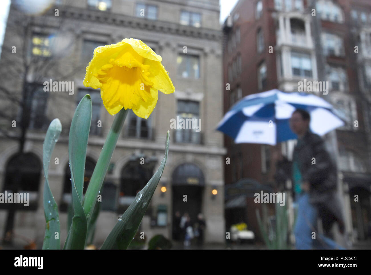 April rains hi-res stock photography and images - Alamy