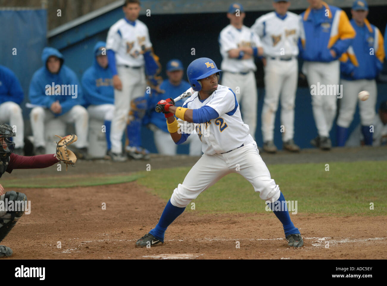 Batter at plate hires stock photography and images Alamy