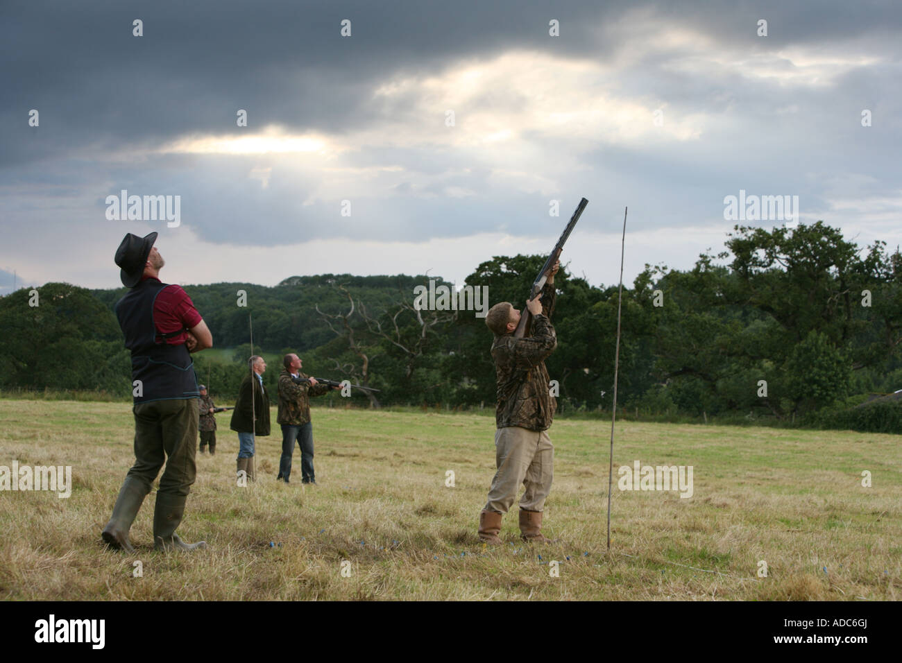 Driven shoot country sport shooting UK Stock Photo Alamy