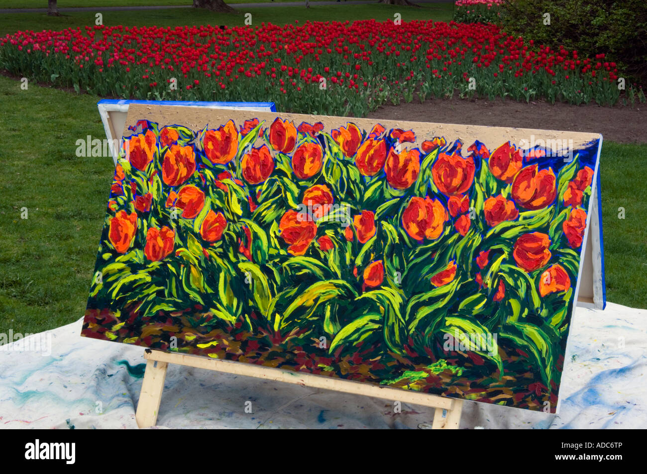 Painter Roy Macgregors Tulip Painting At Canadian Tulip Festival Stock Photo Alamy Painter Roy Macgregors Tulip Painting At Canadian Tulip Festival Stock Photo Alamy