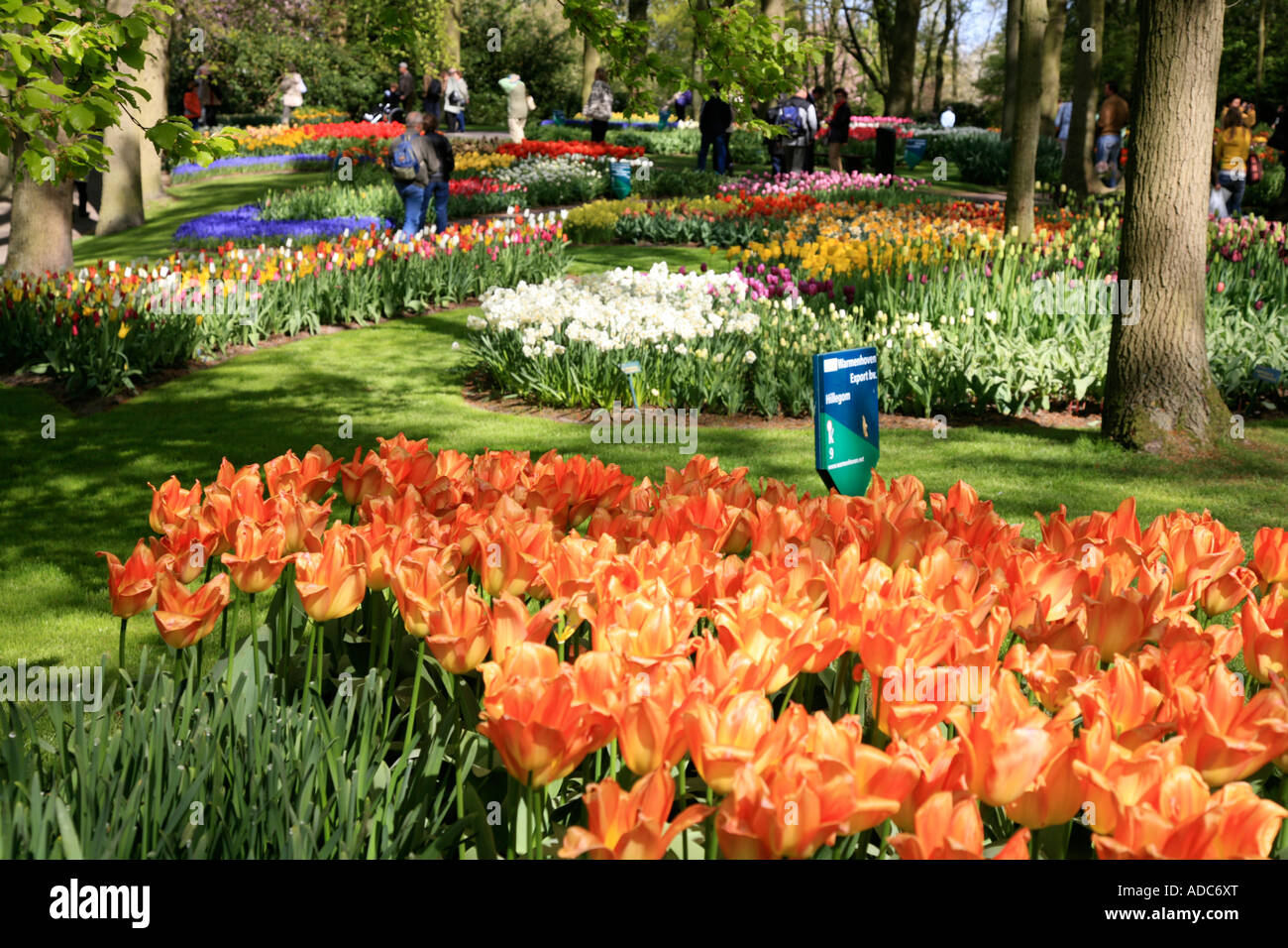 Tulips and flower in bloom at Keukenhof Gardens in Lisse, Holland;Netherlands Stock Photo