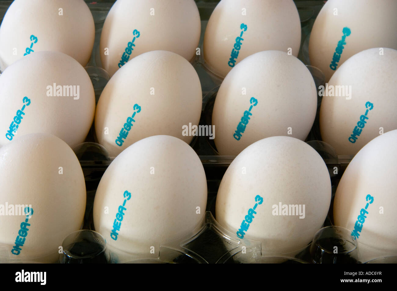 Omega 3 eggs in plastic carton Greater Sudbury Ontario Stock Photo Alamy