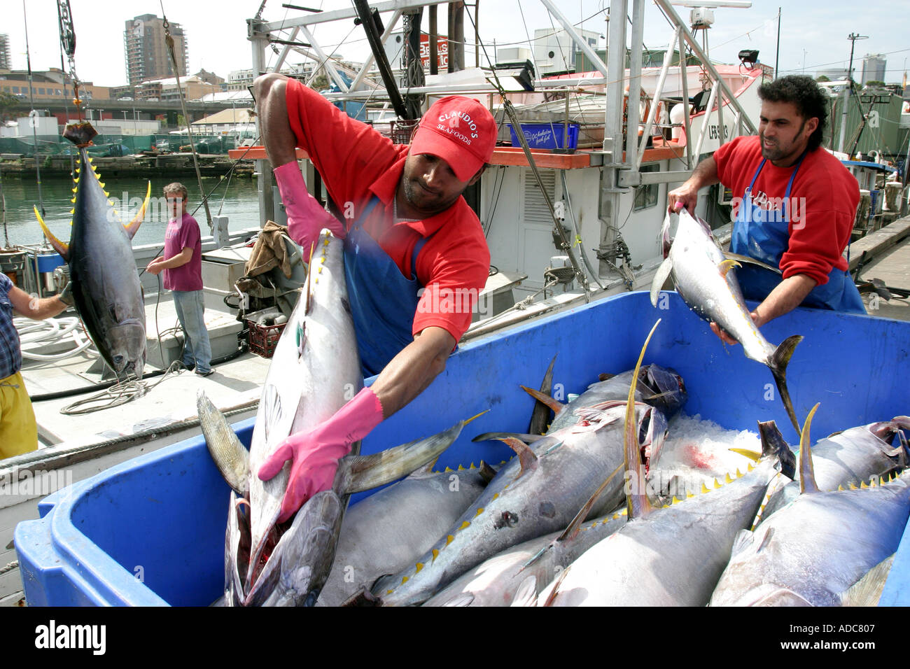 Tuna Fisherman -  Australia
