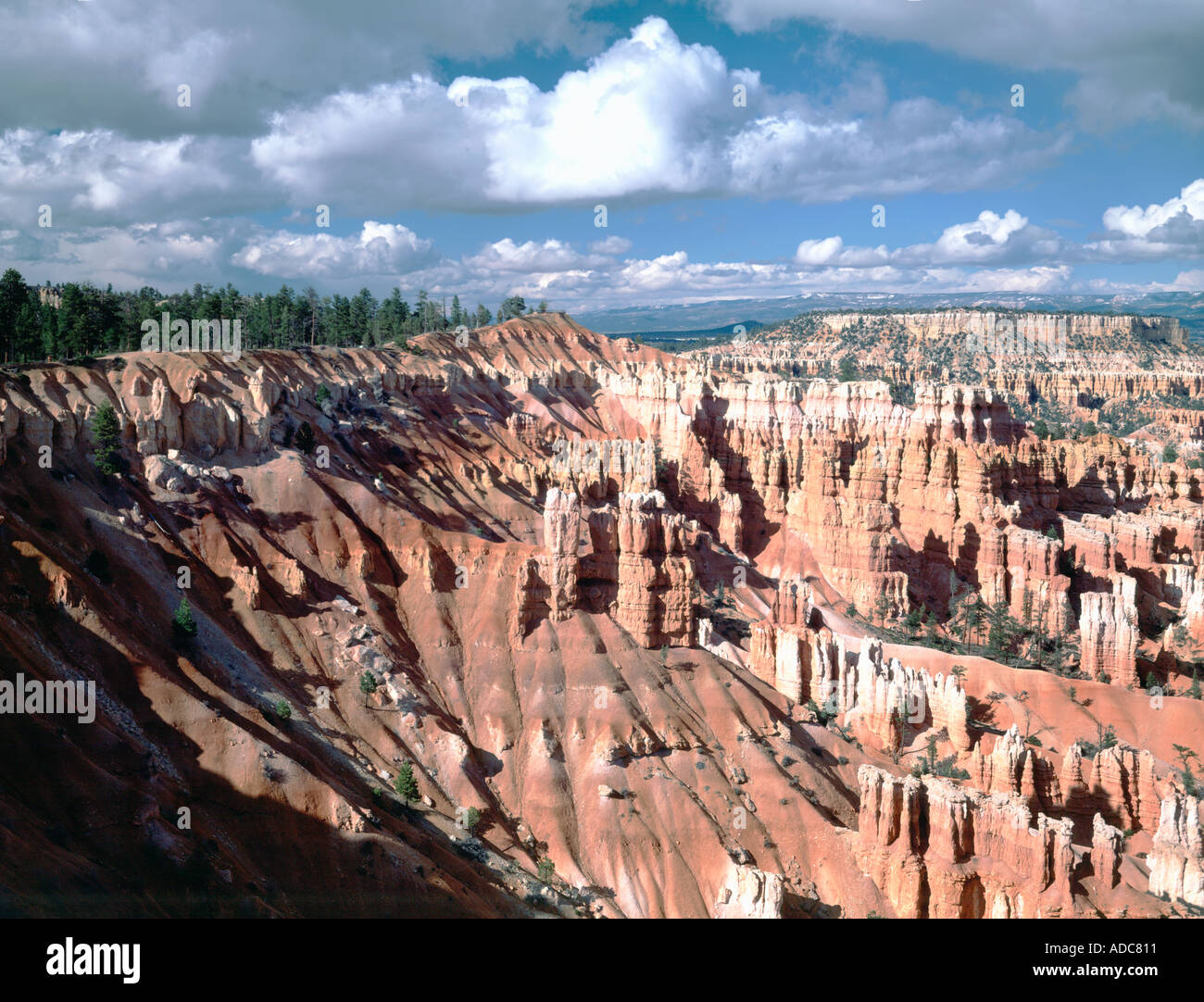 Bryce Canyon National Park in Utah showing the bright red earthy colors formed in spires fins arches and mazes Stock Photo