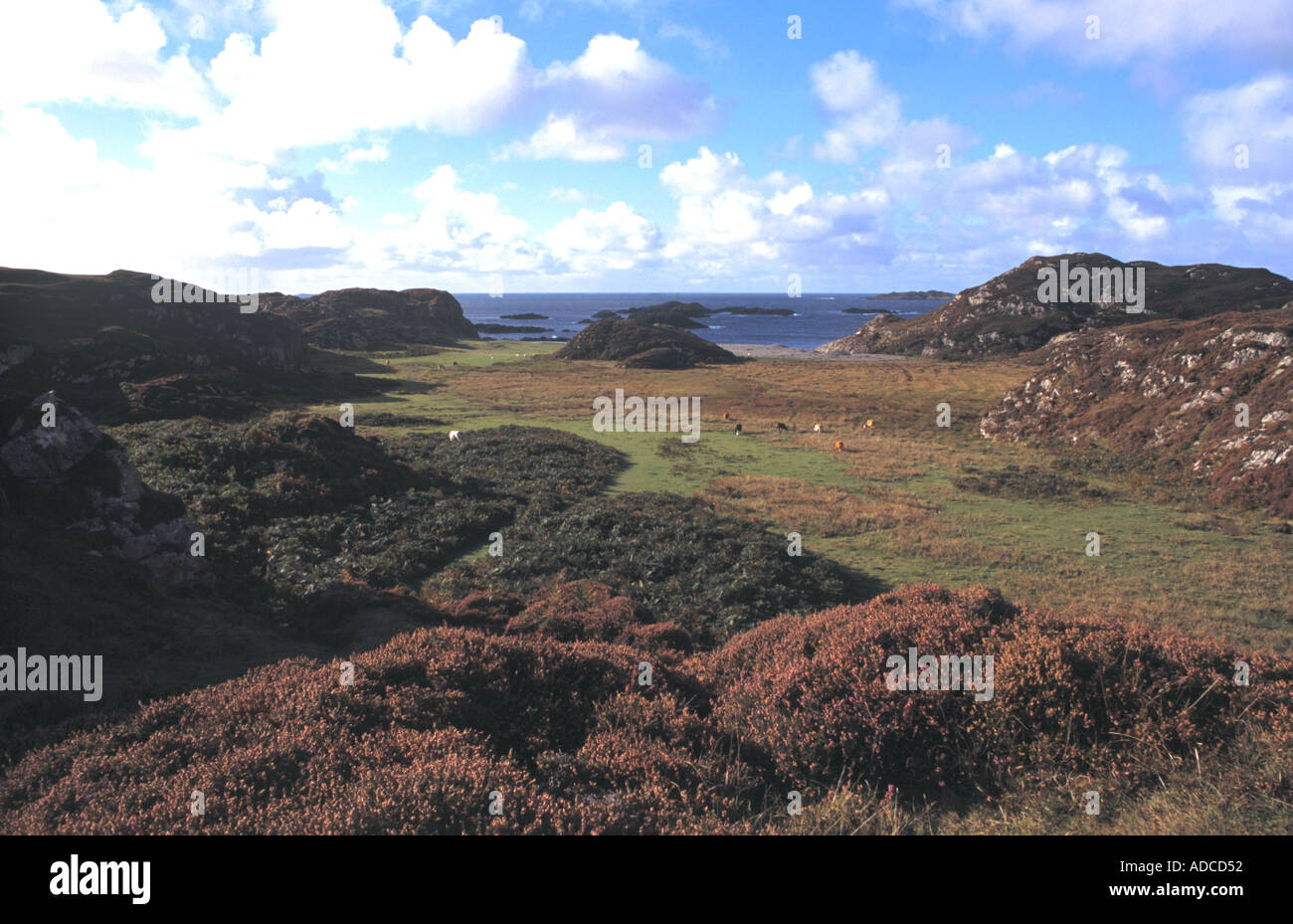 ST COLUMBA S BAY ISLE OF IONA Stock Photo Alamy