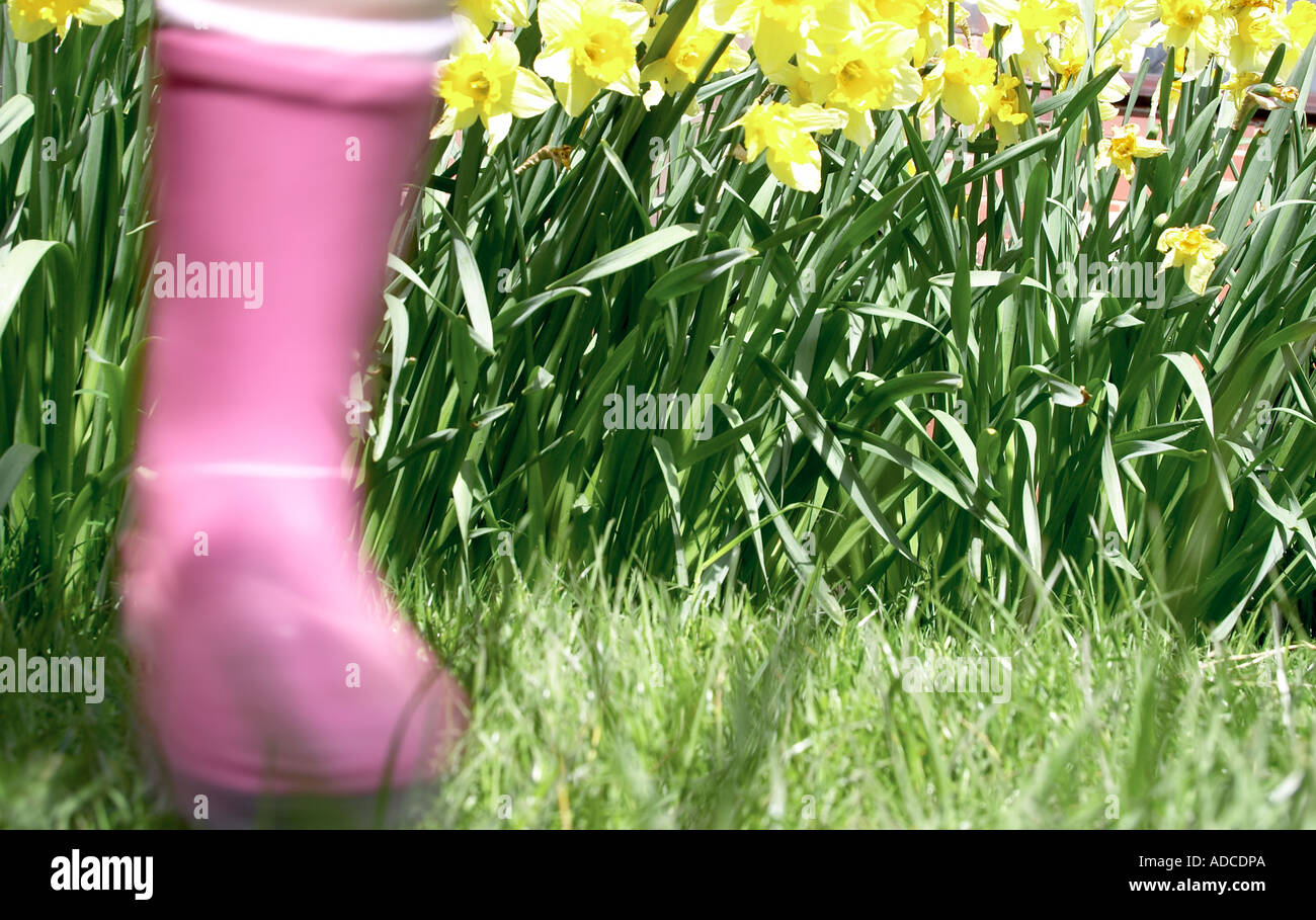 Landscape image of pink wellington worn by young person with daffodils in background with bright spring sunshine Stock Photo