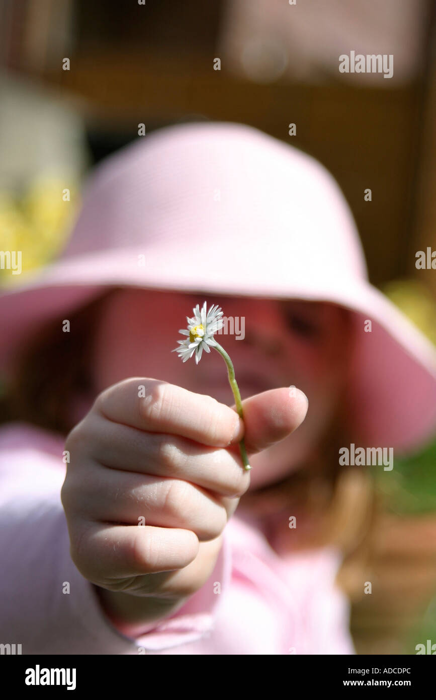 portrait shot of hand holding daisey flower towards camera Stock Photo
