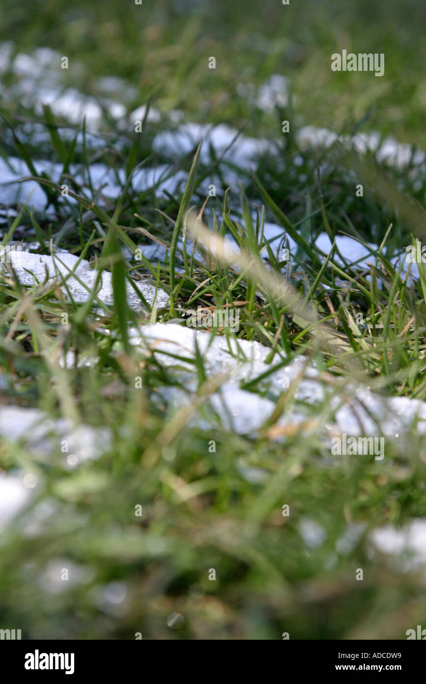 portrait shot of snow melting on grass Stock Photo