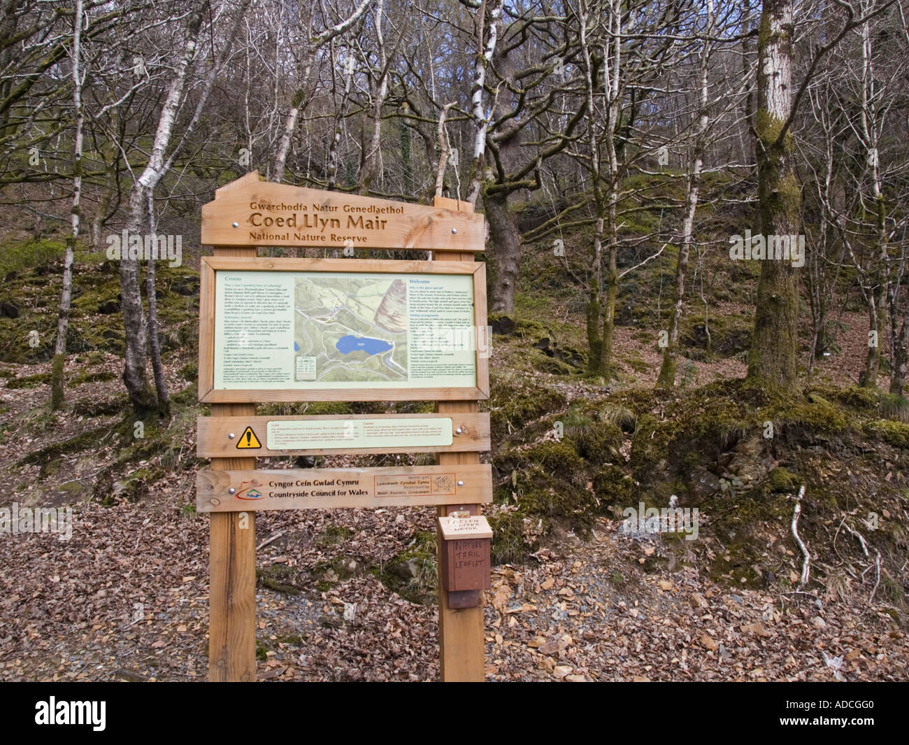 Coed Llyn Mair National Nature Reserve information sign TanyBwlch