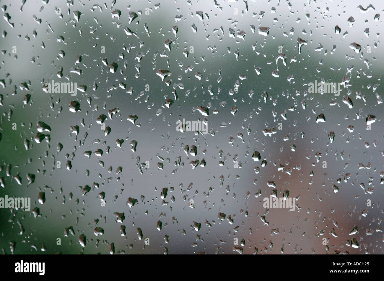 Rain drops on a window Stock Photo