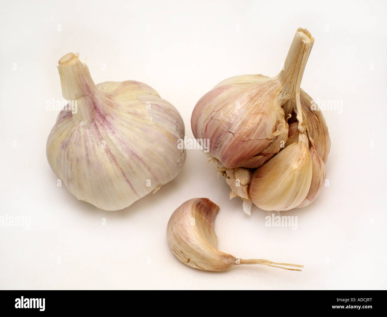 Two Heads of Garlic and a Clove Stock Photo Alamy