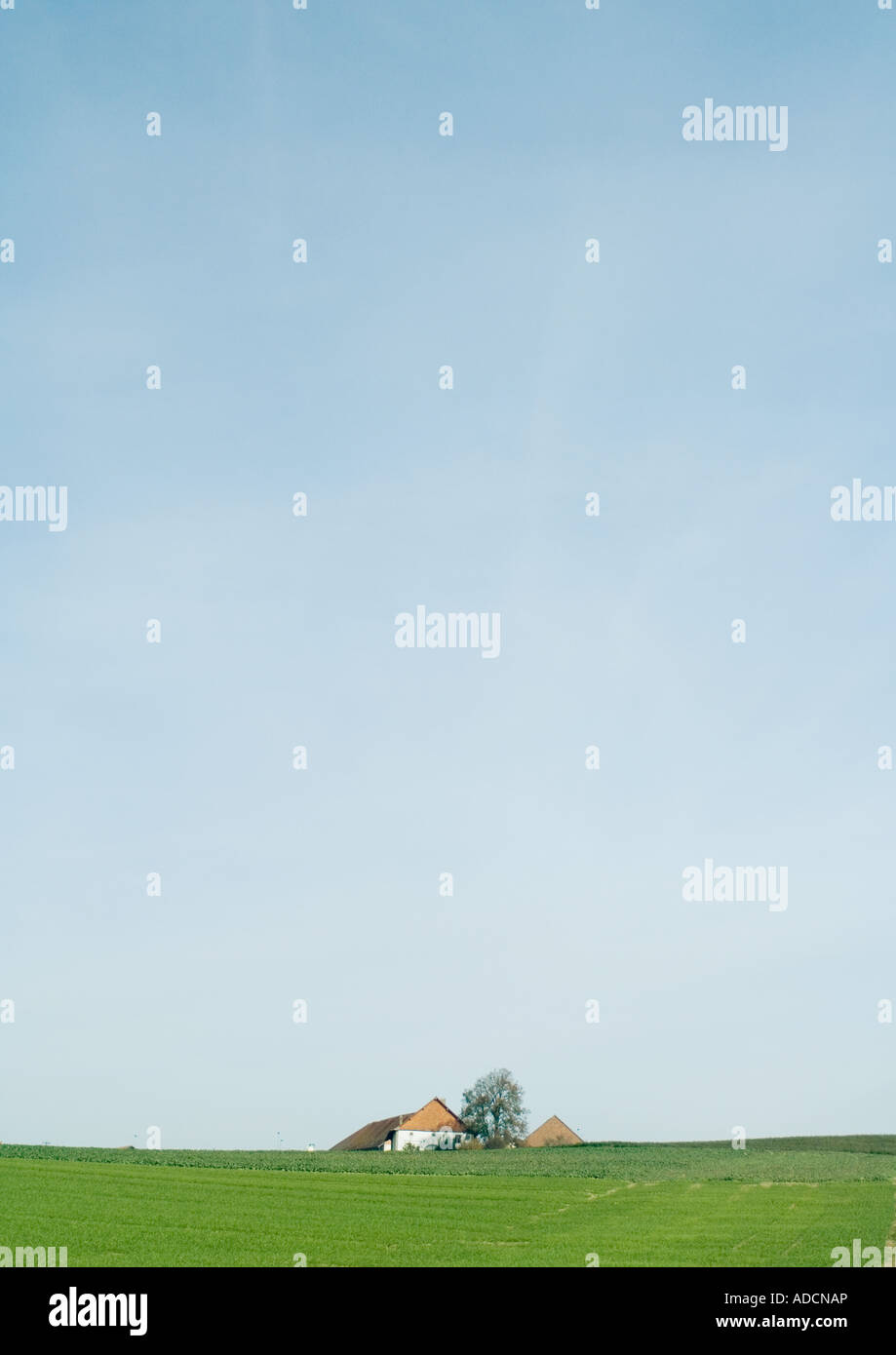 Farm house in green field Stock Photo - Alamy