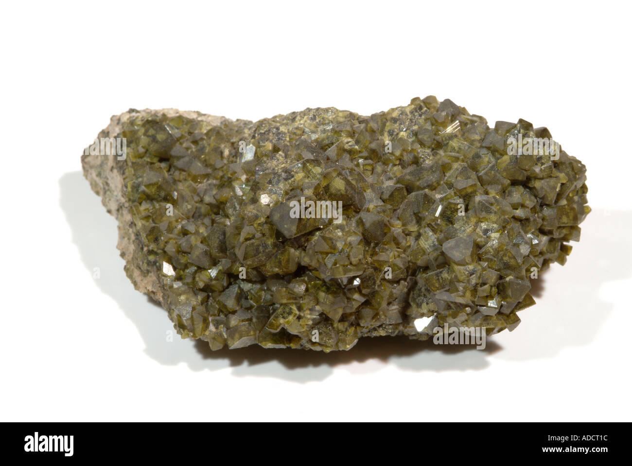 Mineral Epidote, Olive crystals epidote matrix, Pinos Altos Mine, Baja, California, Mexico Stock Photo