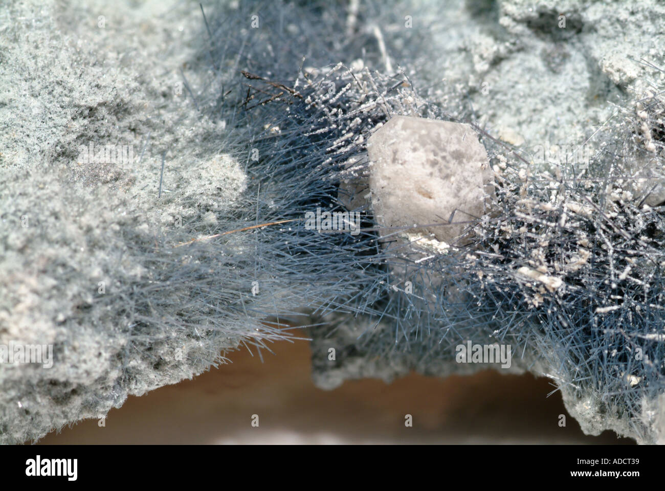 Mineral Tourmaline, Varient Achroite, North Goonbarrow pit, Bugle