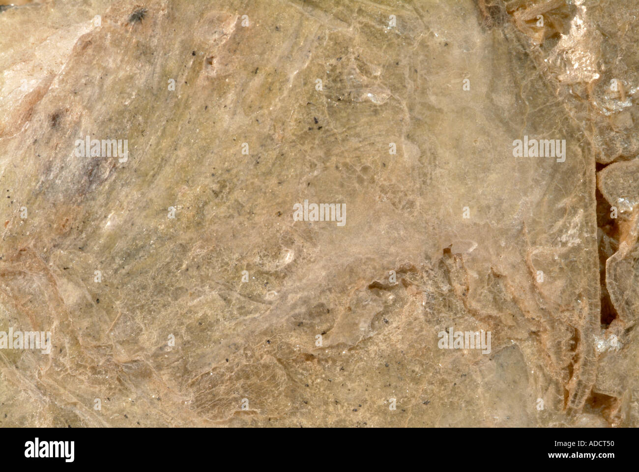 Mineral Muscovite, Varient Gilbertite, Penhale Pit, Carthew, St.Austell