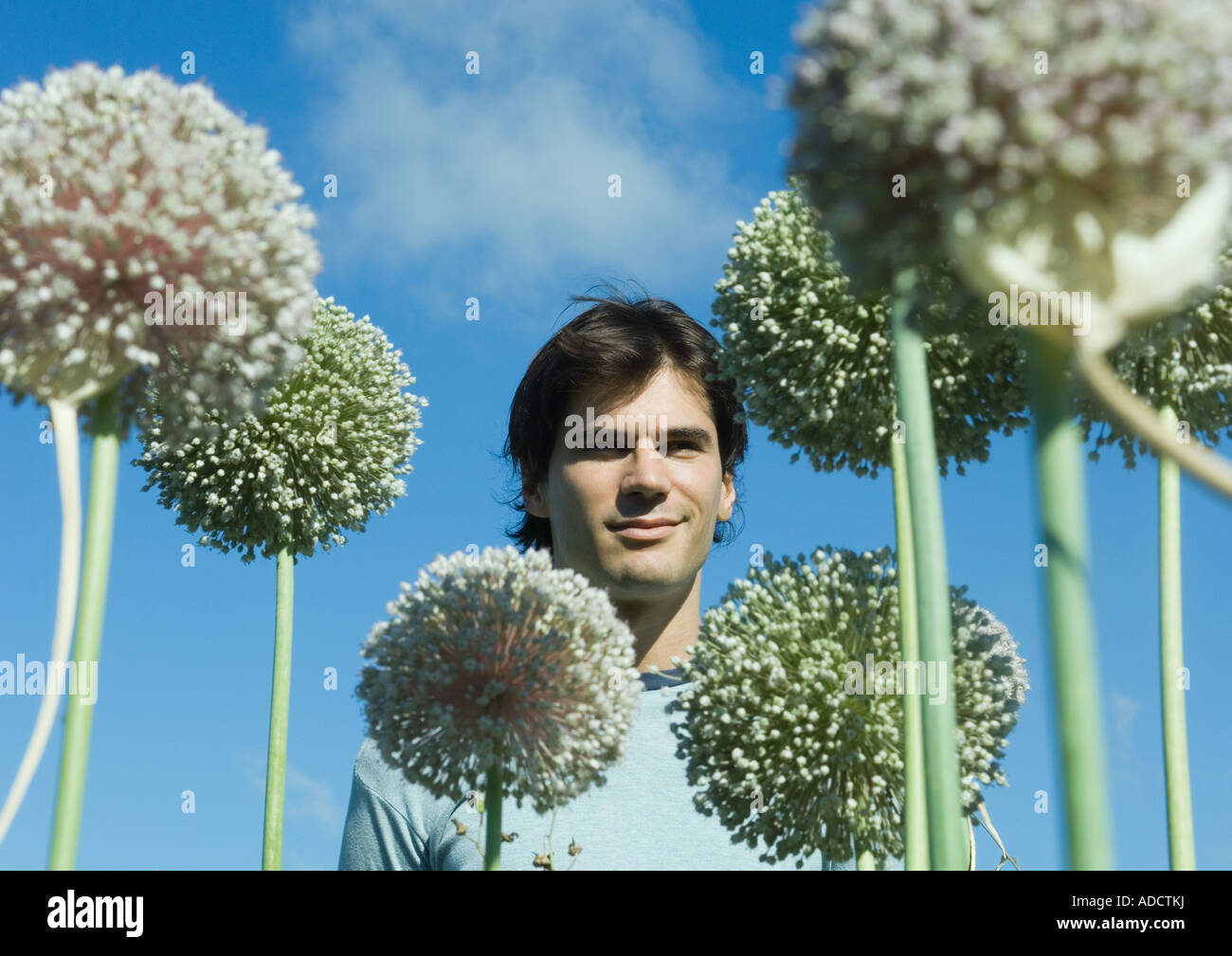 Man with allium flowers Stock Photo