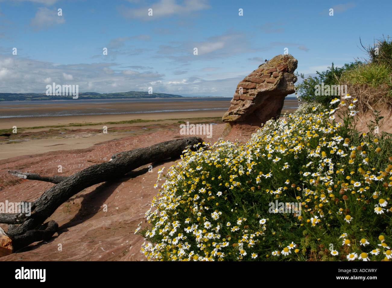 View across the Dee Estuary from one of the Hilbre Islands - Little Eye. Stock Photo