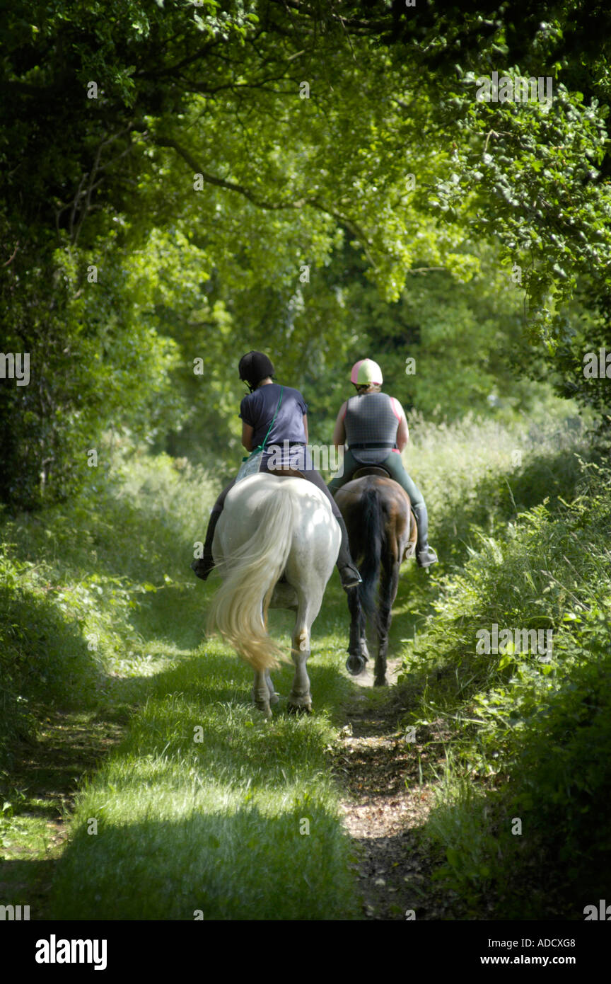 Riding horse country lane hi-res stock photography and images - Alamy