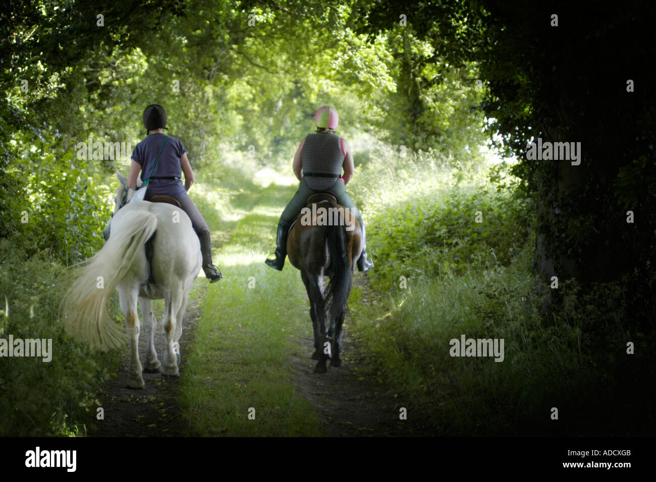 Riders in english countryside hi-res stock photography and images - Alamy