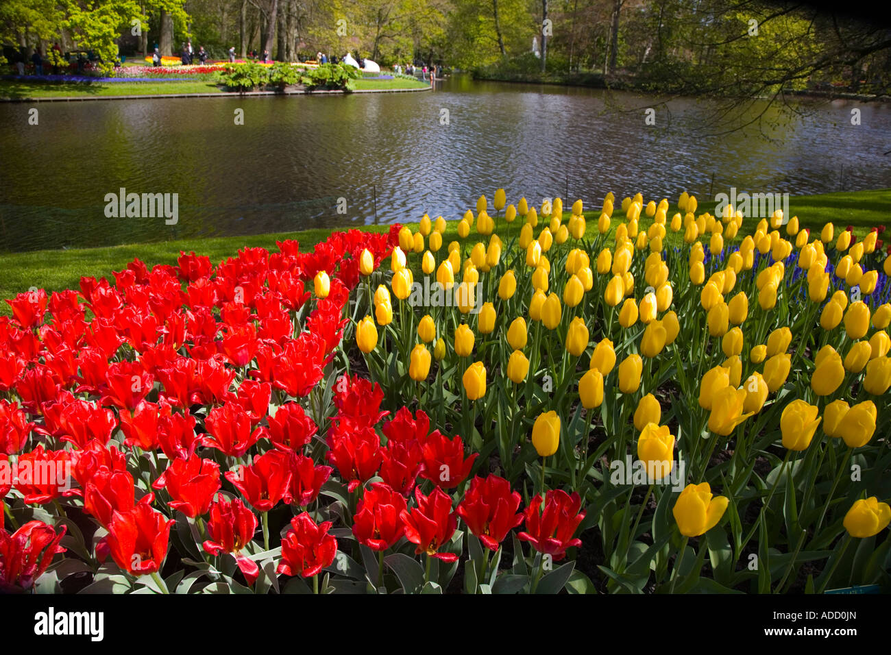 Tulips around the lake at Keukenhof Gardens in Lisse, Holland;Netherlands Stock Photo