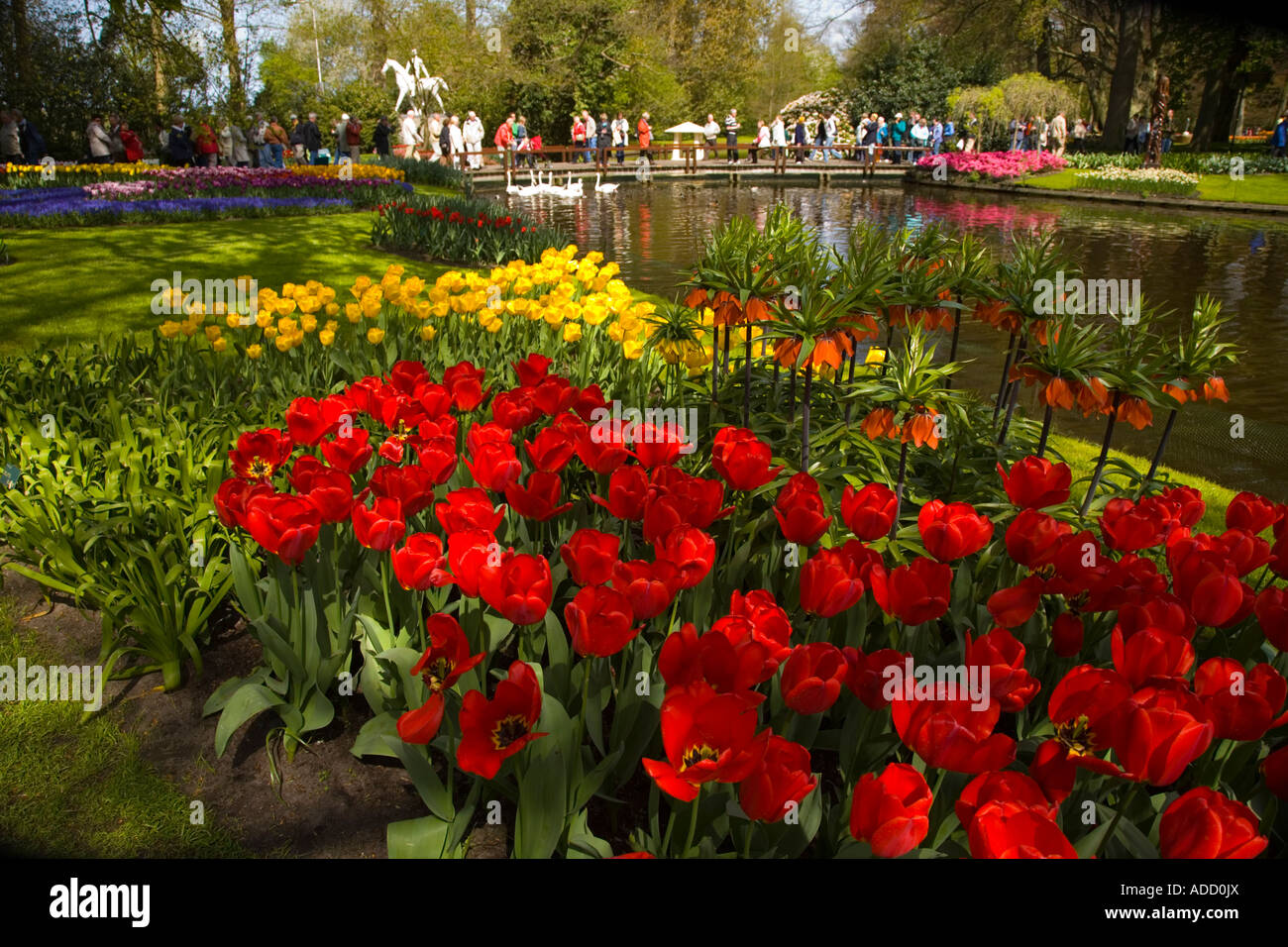 The Tulips around the lake at Keukenhof Gardens in Lisse, Holland;Netherlands Stock Photo