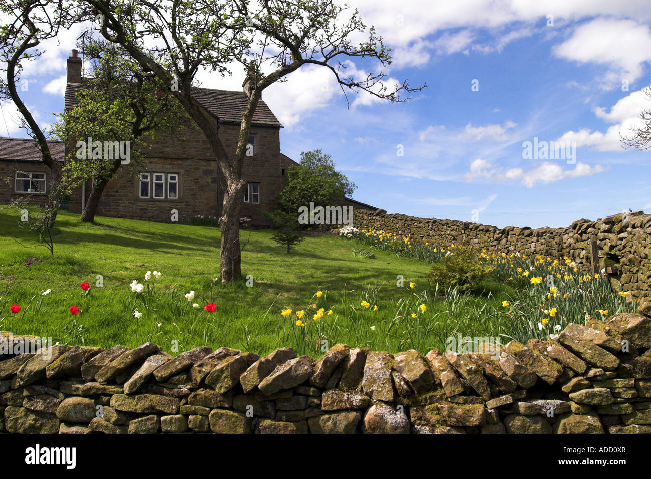 Country cottage near Abbeystead / Forest of Bowland / Lancashire / UK