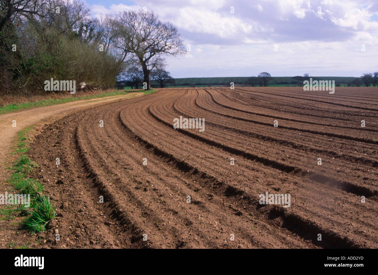 Furrows for planting potato crop Butley Suffolk England Stock Photo