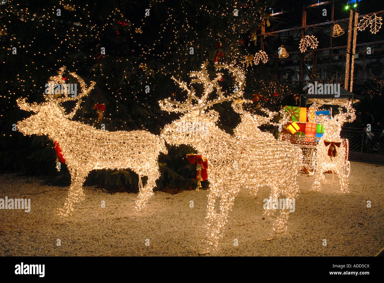 Christmas Scene In George Square Illuminated Reindeer Pulling Sleigh Full Of Presents Christmas Eve 06 Glasgow Scotland Stock Photo Alamy