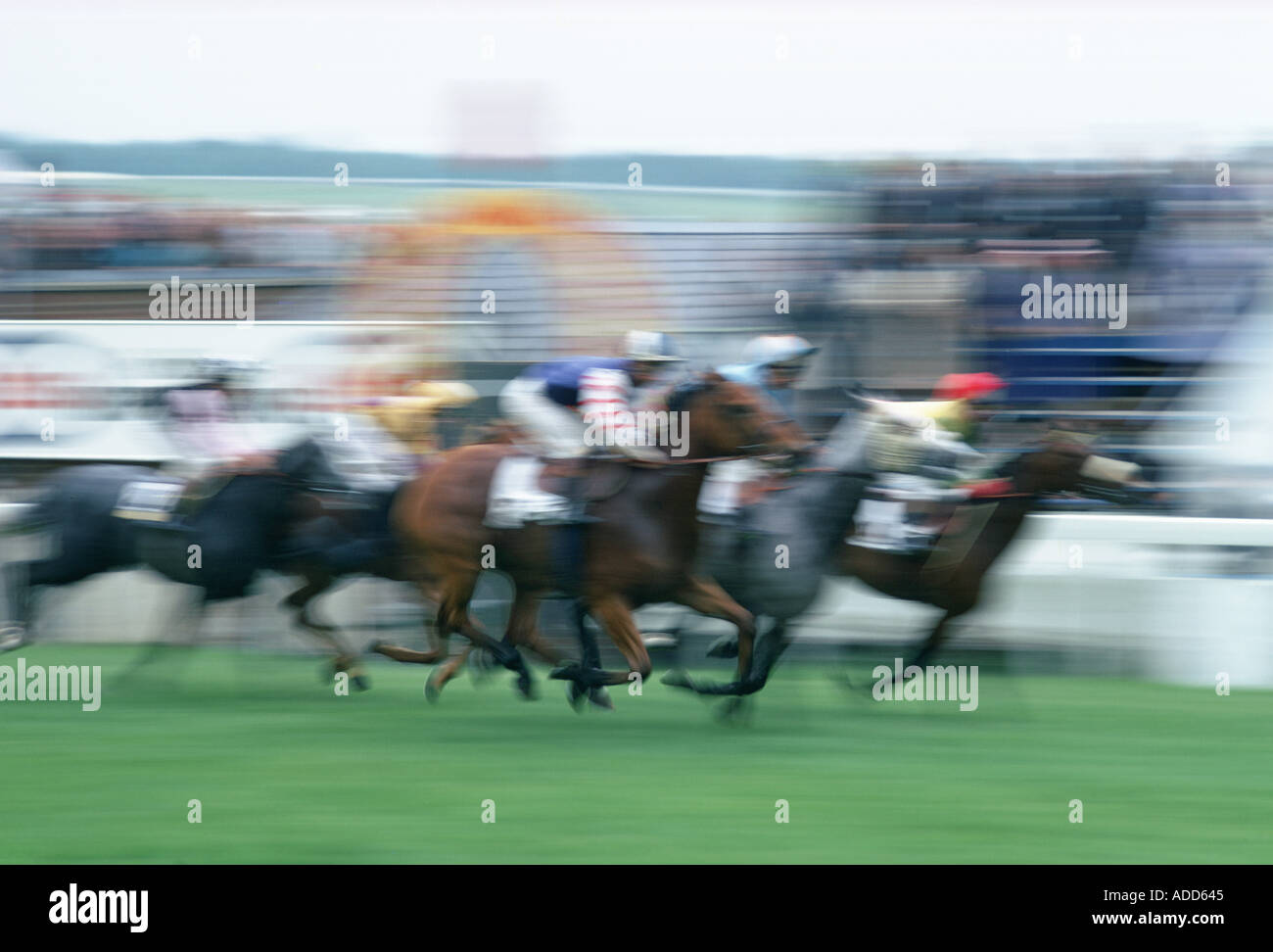 Horseracing action at Epsom Races in Surrey United Kingdom on the famous Derby Day Stock Photo