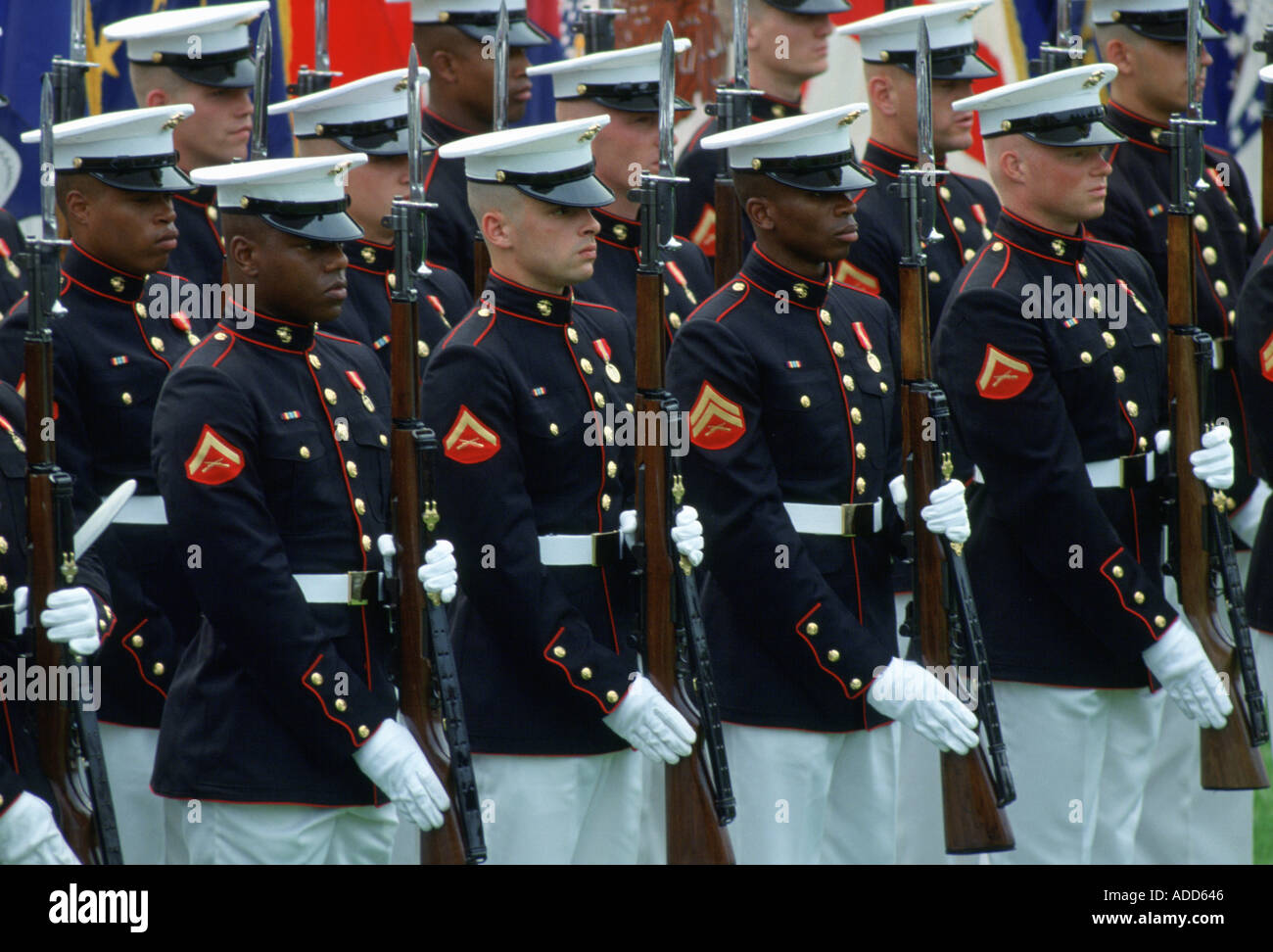United States Military Guard of Honour with rifles parade on the White House Lawn Washington USA Stock Photo