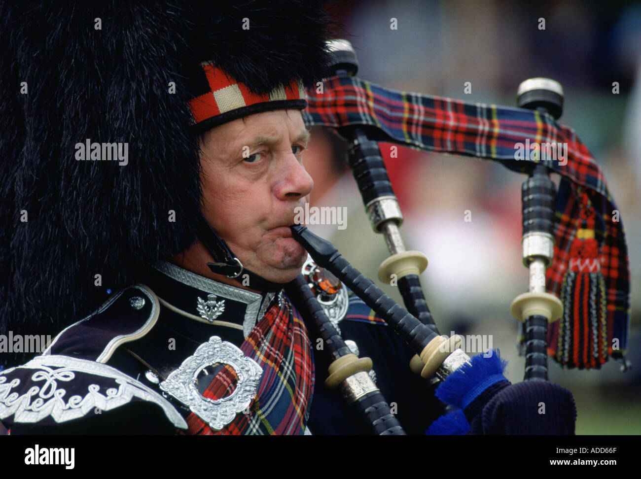 Scottish Piper playing bagpipes at the Braemar Games Braemar Scotland Stock Photo