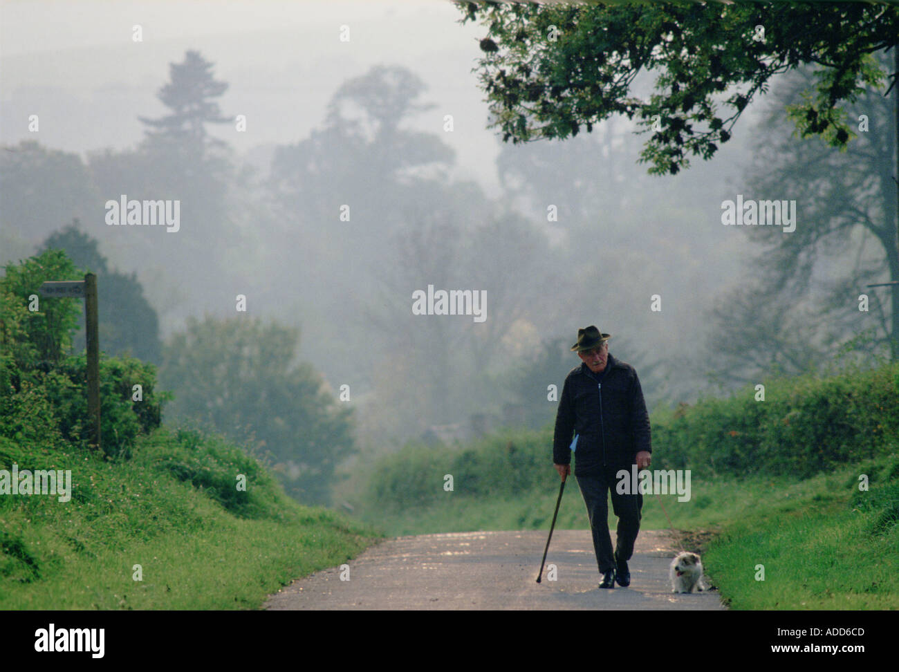 Old man walking dog on misty morning in the English countryside ...