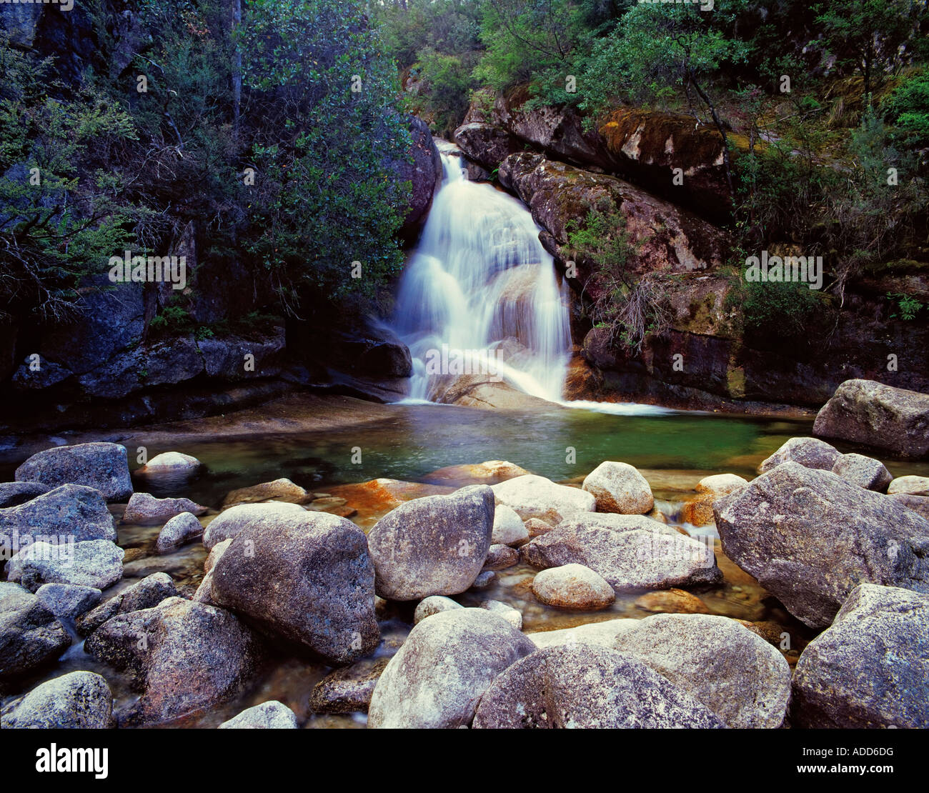 Pool below Ladies Bath Falls Mount Buffalo National Park Victoria