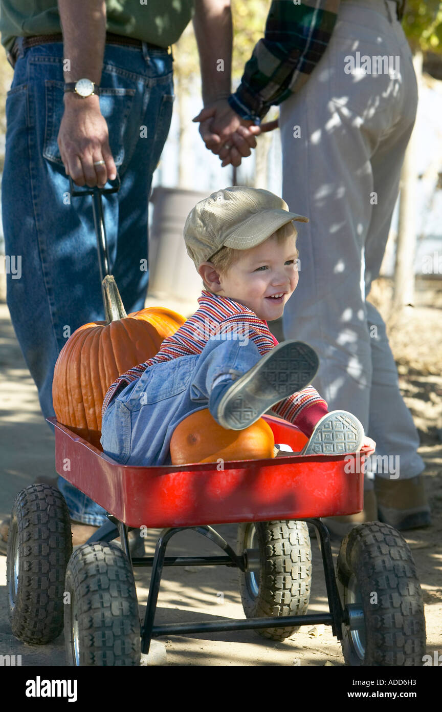 Man and woman pulling red wagon with fresh pumpkins and  little Caucasian boy in Autumn Stock Photo
