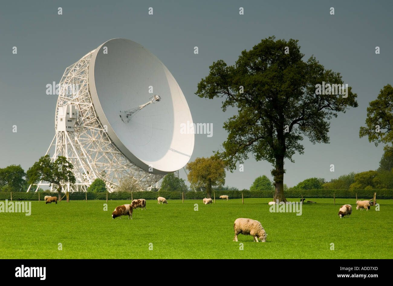 The Giant Mark 1A Jodrell Bank Radio Telescope, Near Holmes Chapel, Cheshire, England, UK Stock Photo