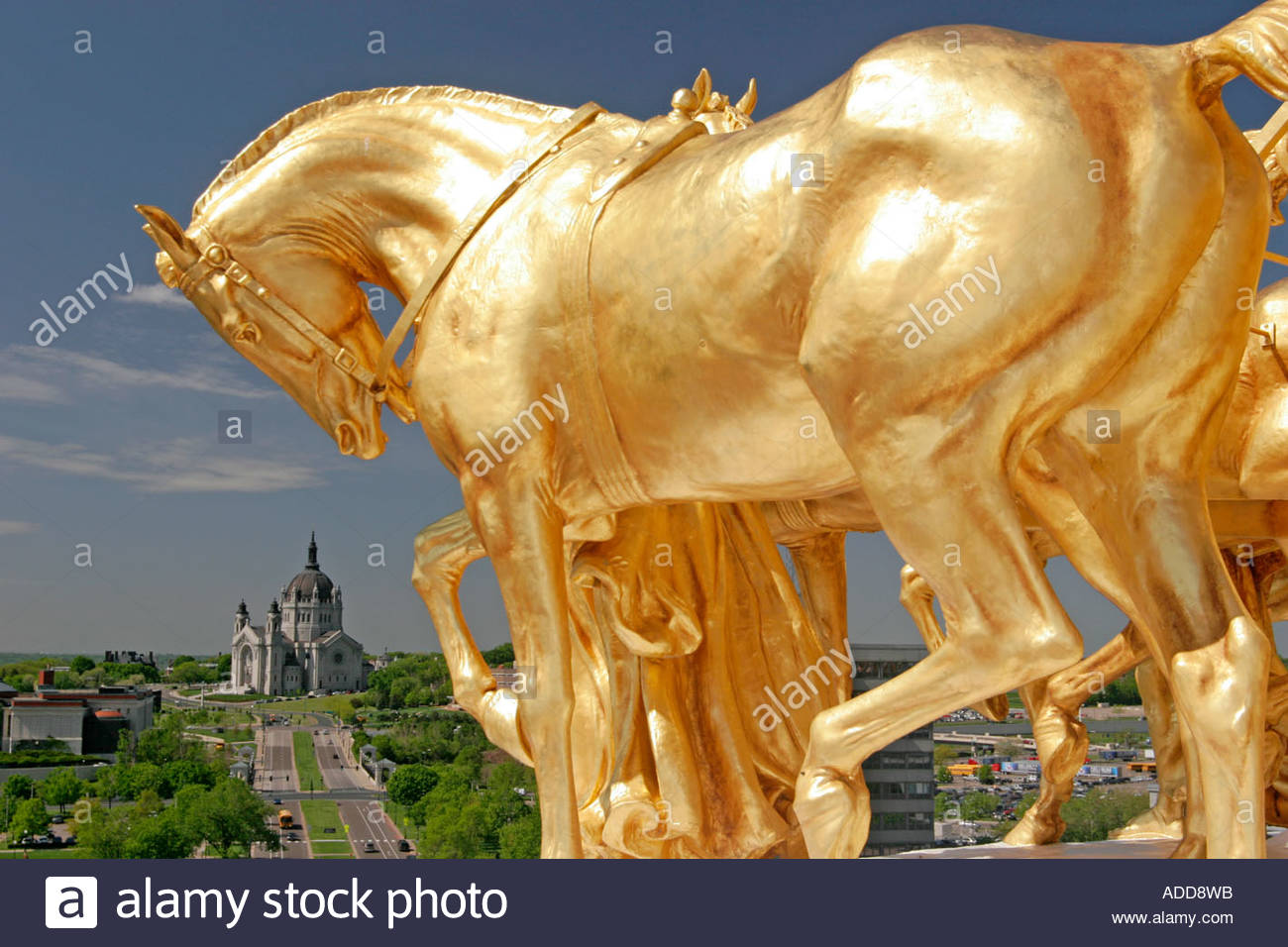 Golden Horse Statue atop of Capitol Building with Cathedral of St Stock