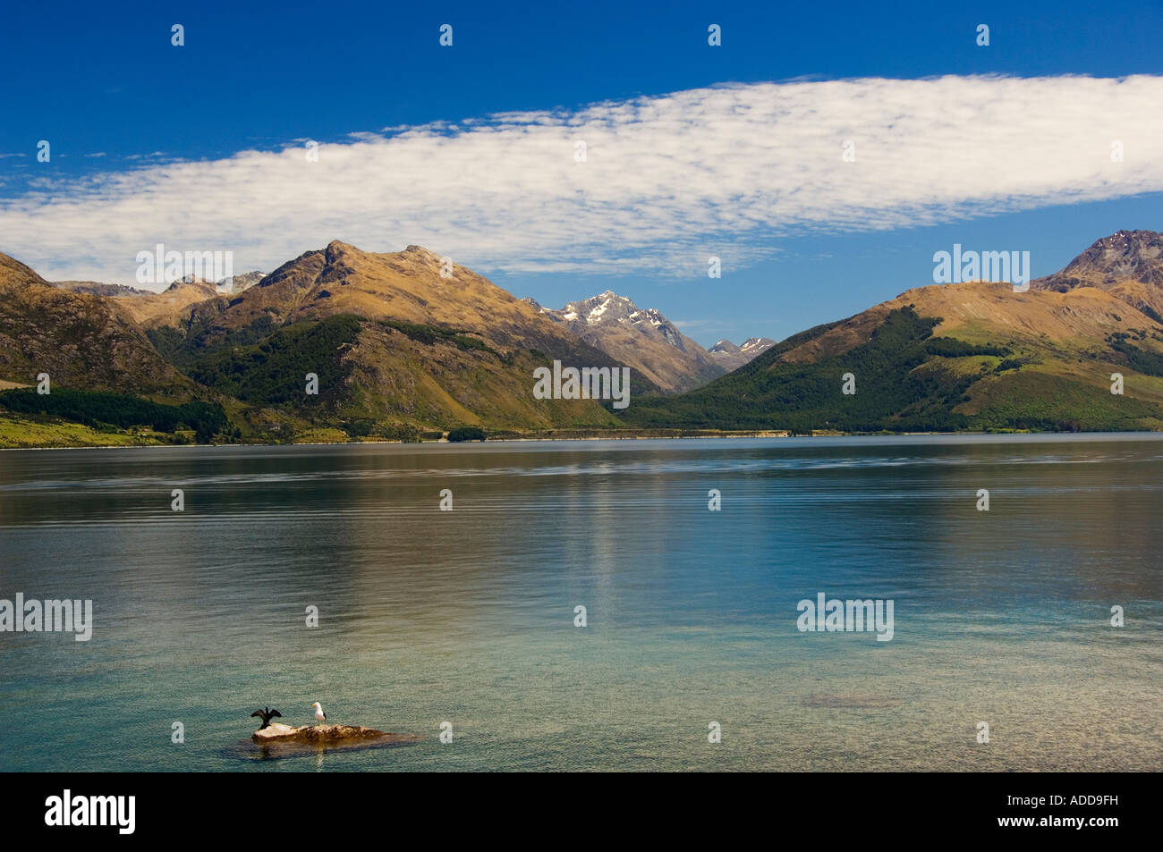 New Zealand South Island Lake Wakatipu near Queenstown Stock Photo - Alamy