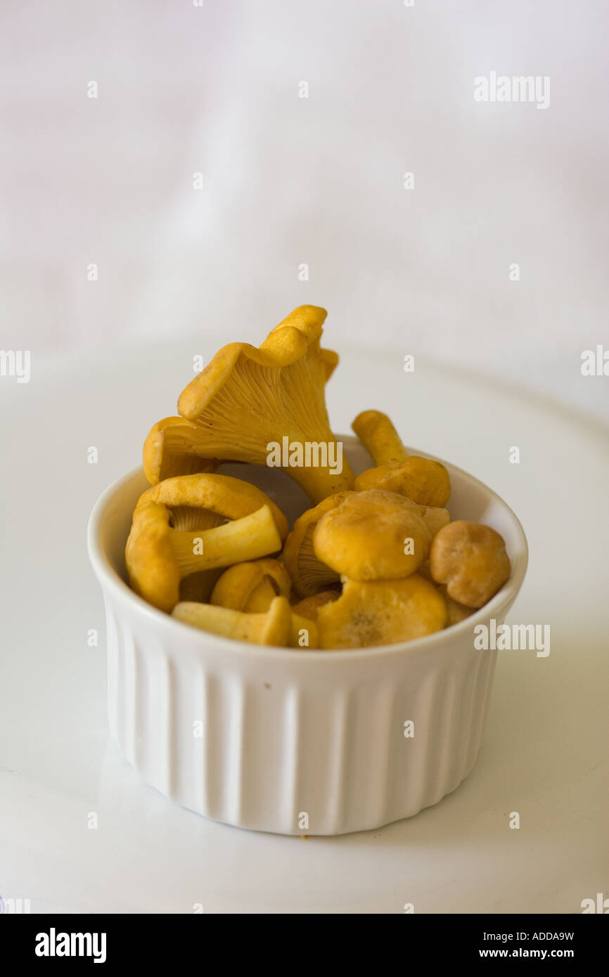 Mushrooms Chanterelles in the Kitchen Stock Photo Alamy