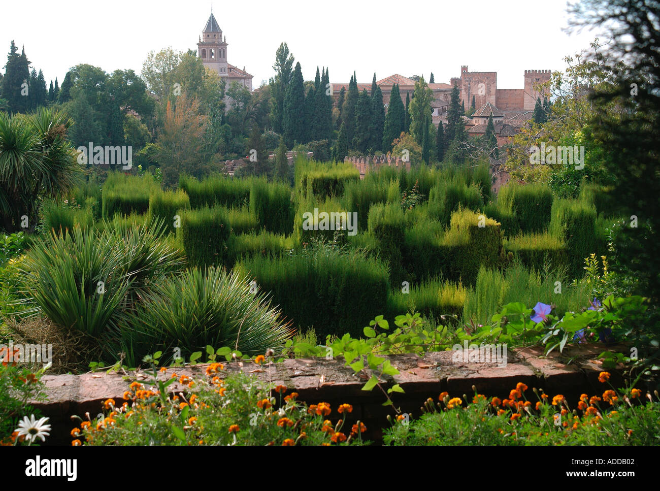 alhambra palace garden, granada, spain Stock Photo Alamy