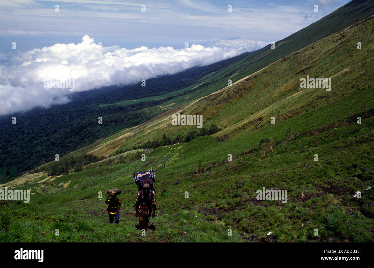 Porters ascending Mount Cameroon West Africa Stock Photo