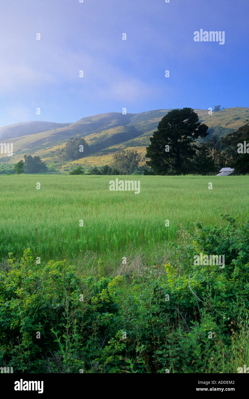 Farm in Mendocino County California USA Stock Photo Alamy