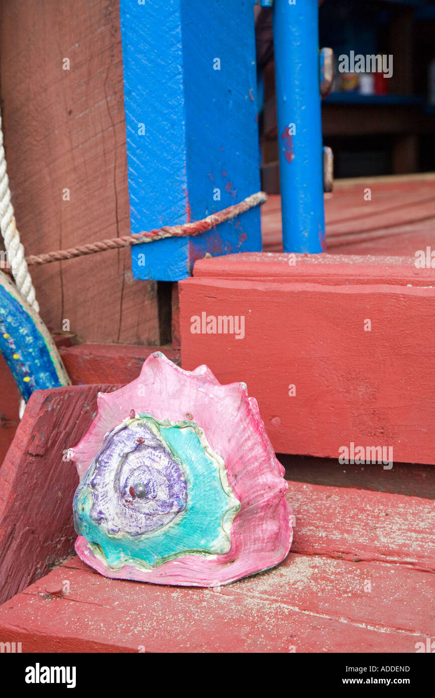 Painted Conch Shell Stock Photo Alamy