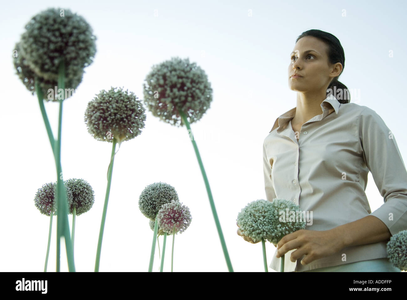 Woman standing with allium flowers Stock Photo