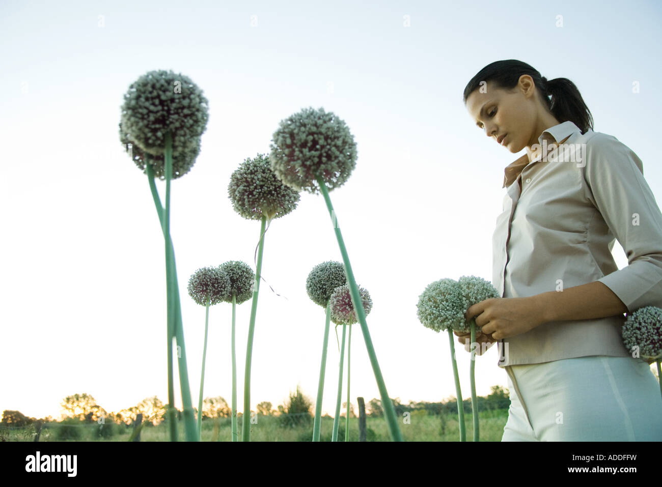Woman standing with allium flowers Stock Photo