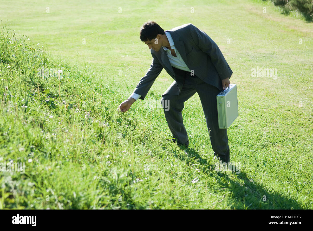 Businessman standing by grassy hill, bending down to touch grass Stock  Photo - Alamy